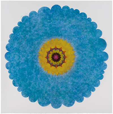 pigment on paper, Pop Flower Opus 7 by Mary Judge.