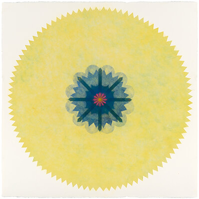 pigment on paper, Popflower 6082 by Mary Judge.
